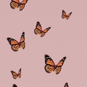 Meet your Posher, Brooklynn